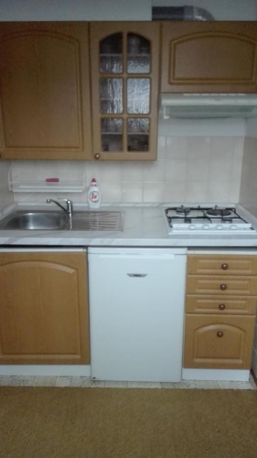 Ubytovani V Apartmanu Mladkov Экстерьер фото